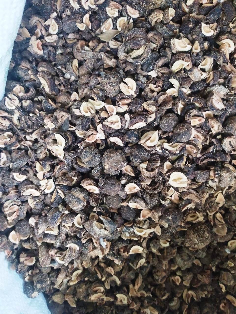 Nellikai with seed 5